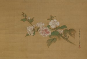 Virágzó hibiszkusz ága, Edo-korszak (színes selyem)